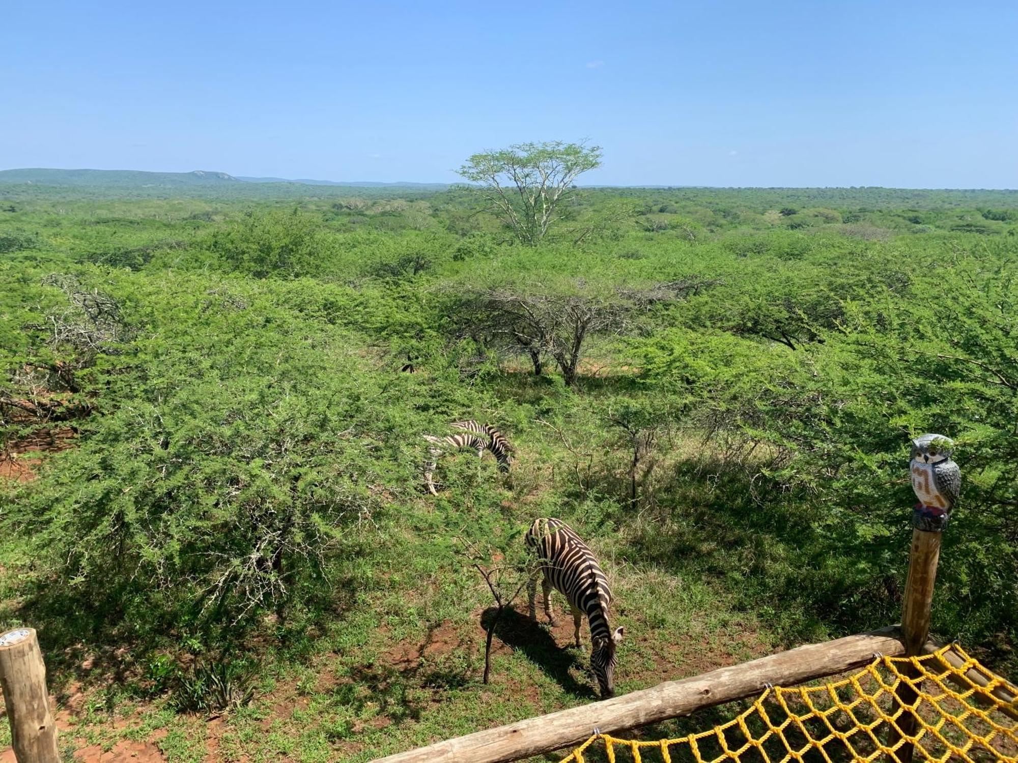 Mudhouse Zululand Villa Hluhluwe Luaran gambar