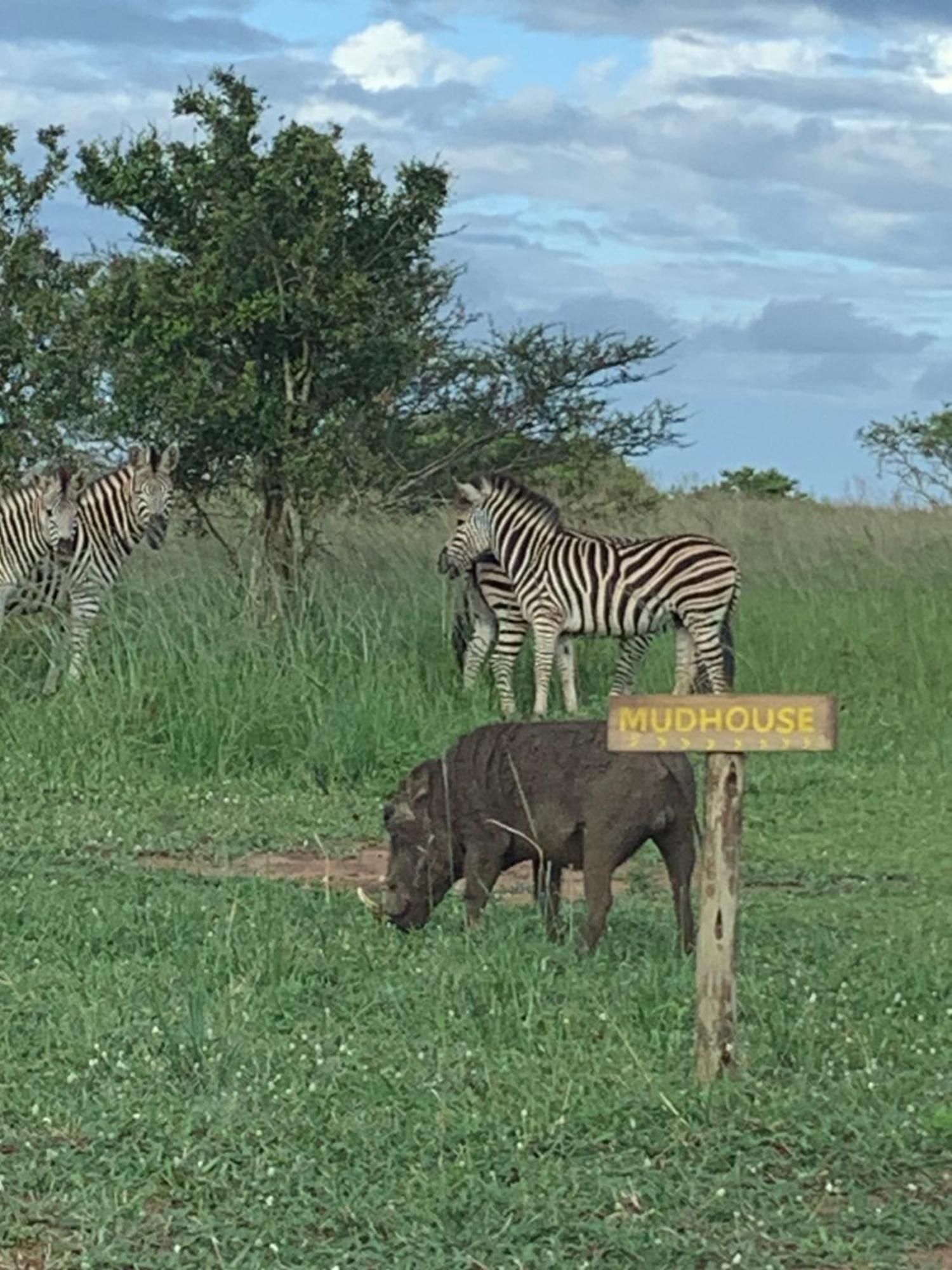 Mudhouse Zululand Villa Hluhluwe Luaran gambar