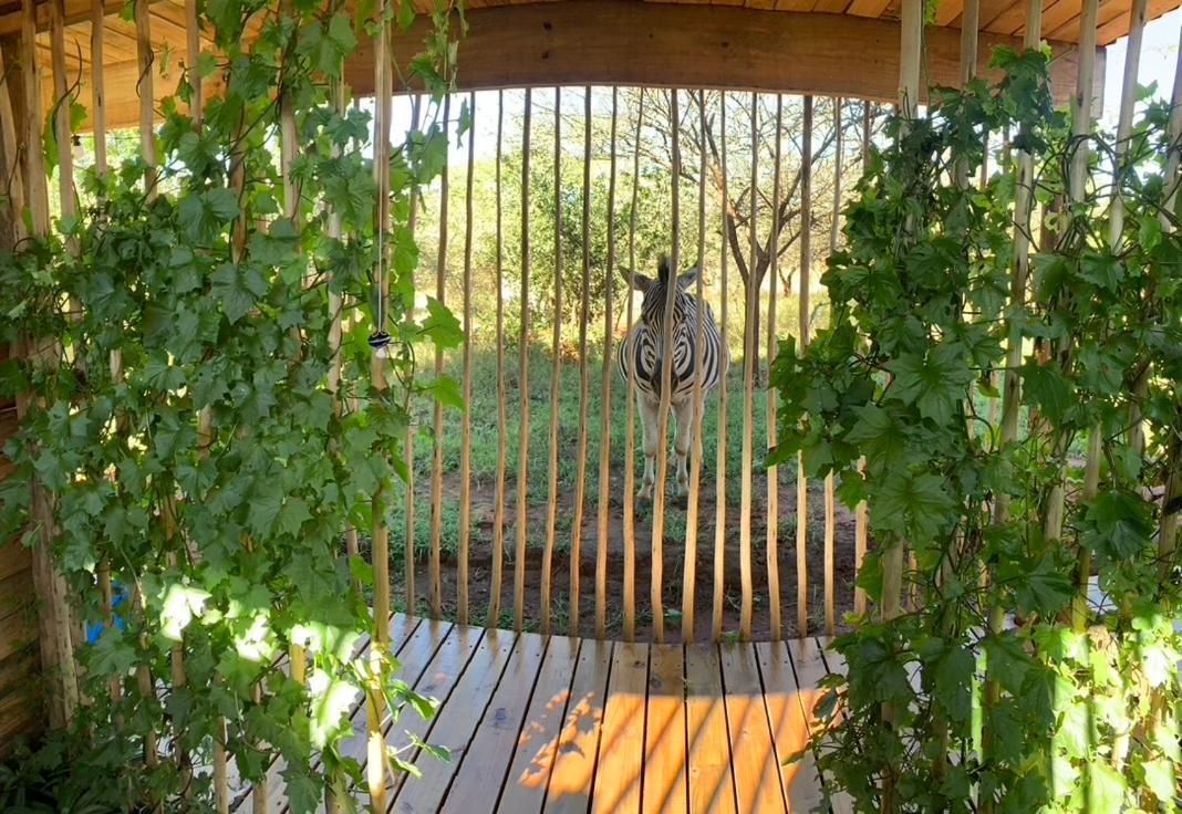 Mudhouse Zululand Villa Hluhluwe Luaran gambar
