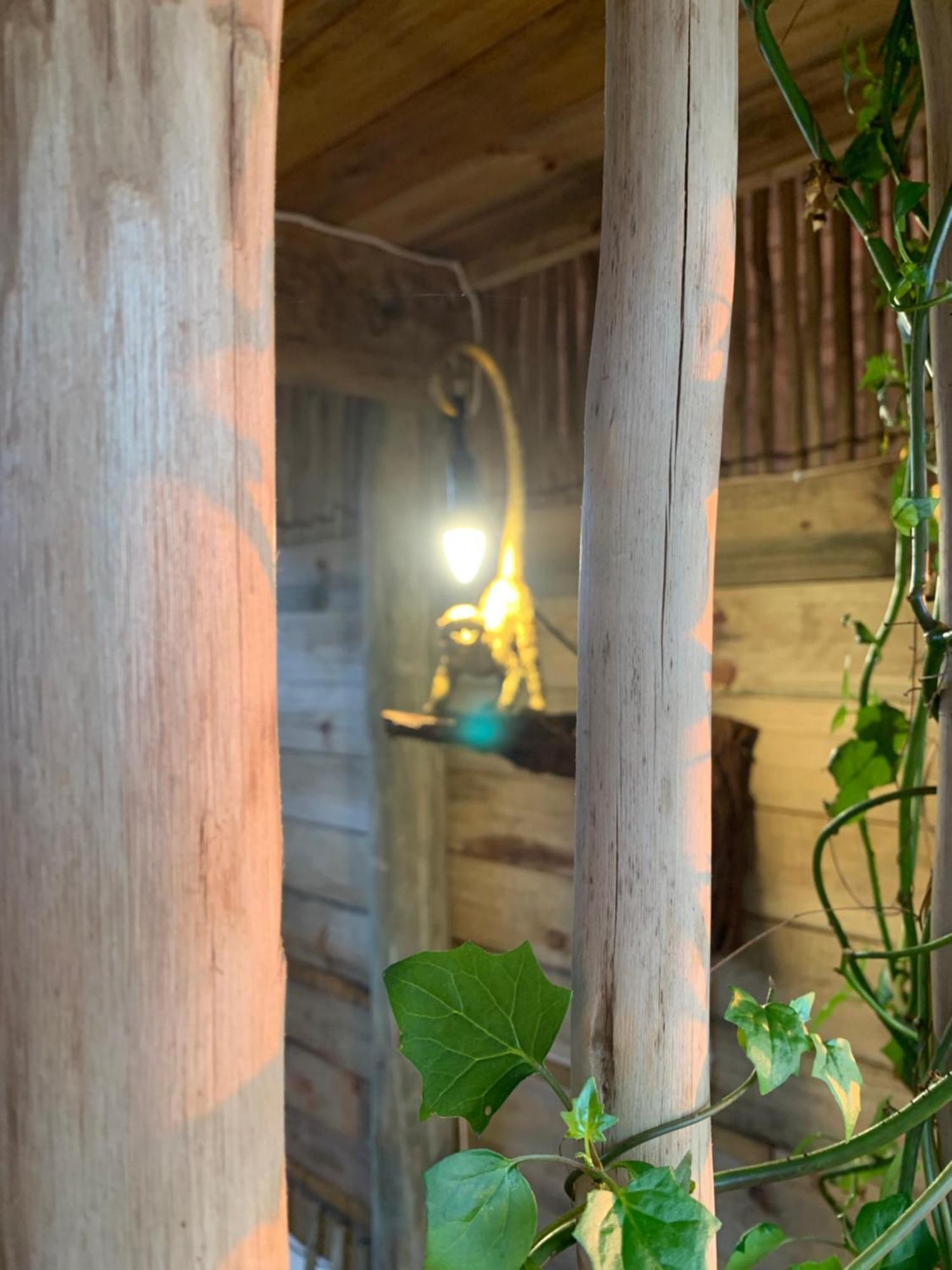Mudhouse Zululand Villa Hluhluwe Bilik gambar